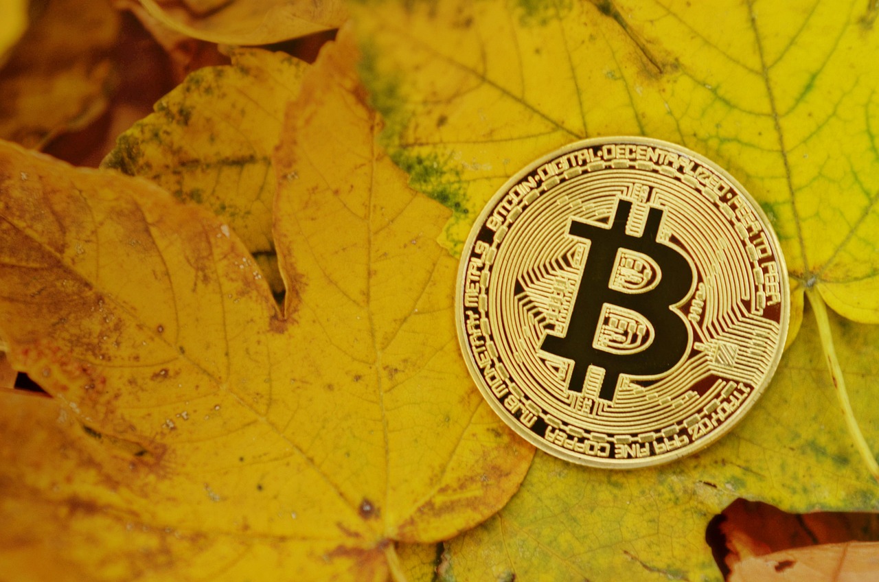 全美首档瑞波币ETF登场NYSE Arca！但现货ETF仍待核准